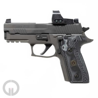 Custom Hogue P229 grips mounted on pistol