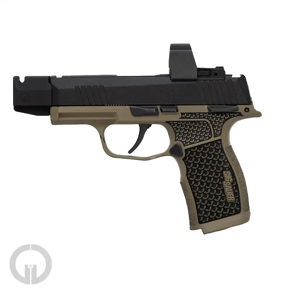 Grayguns P365 hybrid trigger installed