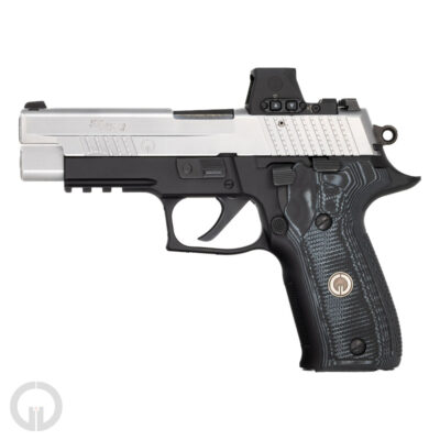 Grayguns Custom P226 Elite hybrid trigger